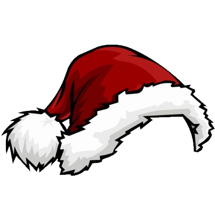 bluey christmas png]